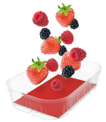 InterSorb Fruitpad 8x12cm Red