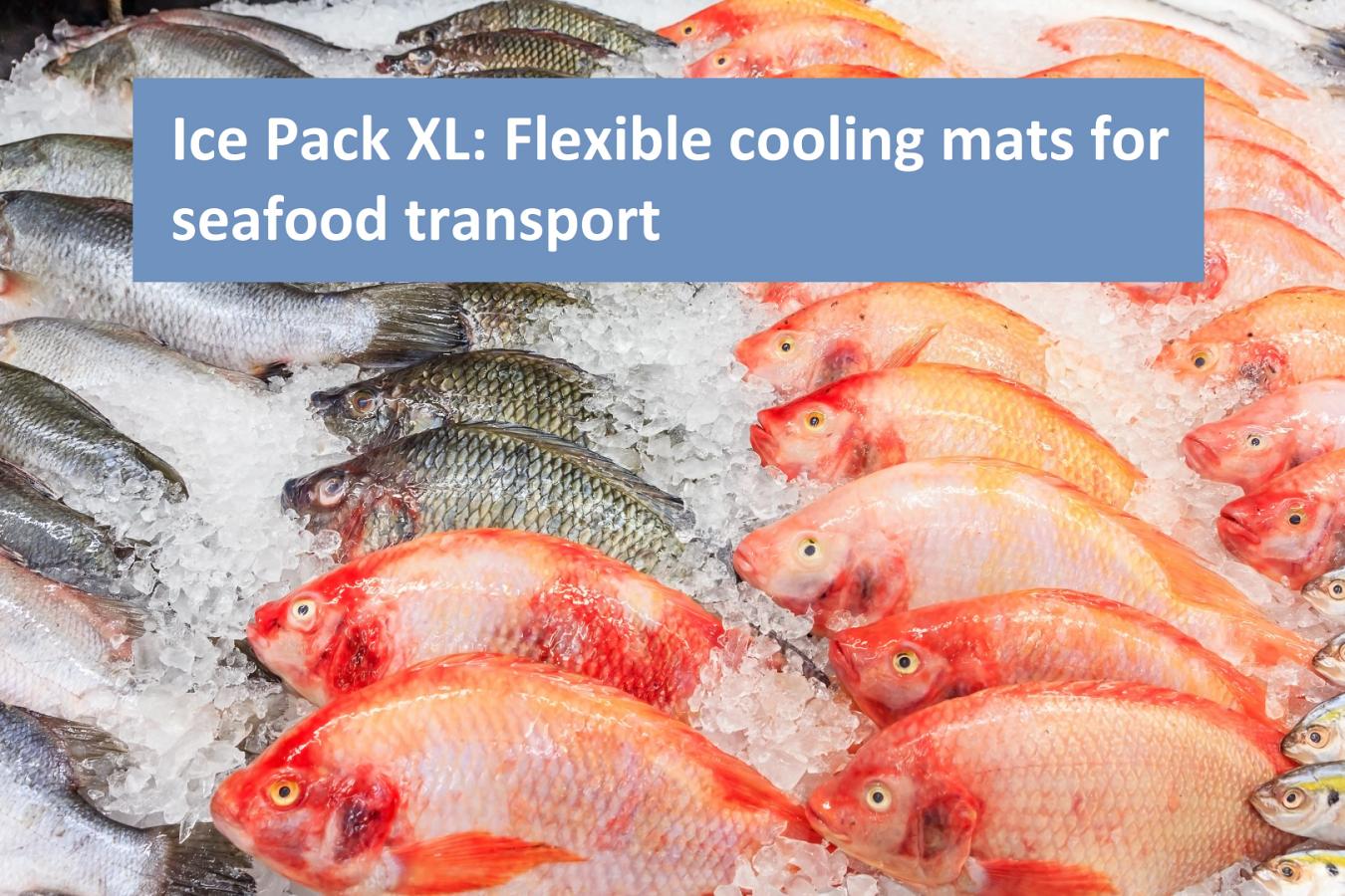 flexible ice packs for fish
