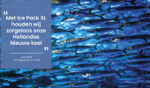 Haring koel houden met Ice Pack XL: de ervaring van Haringhandel Hoek!