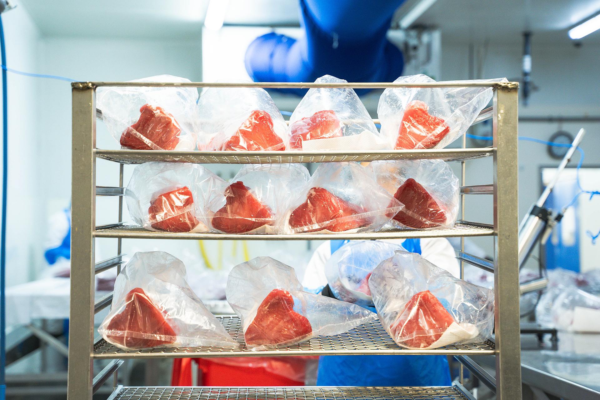 fresh tuna packed for airfreight