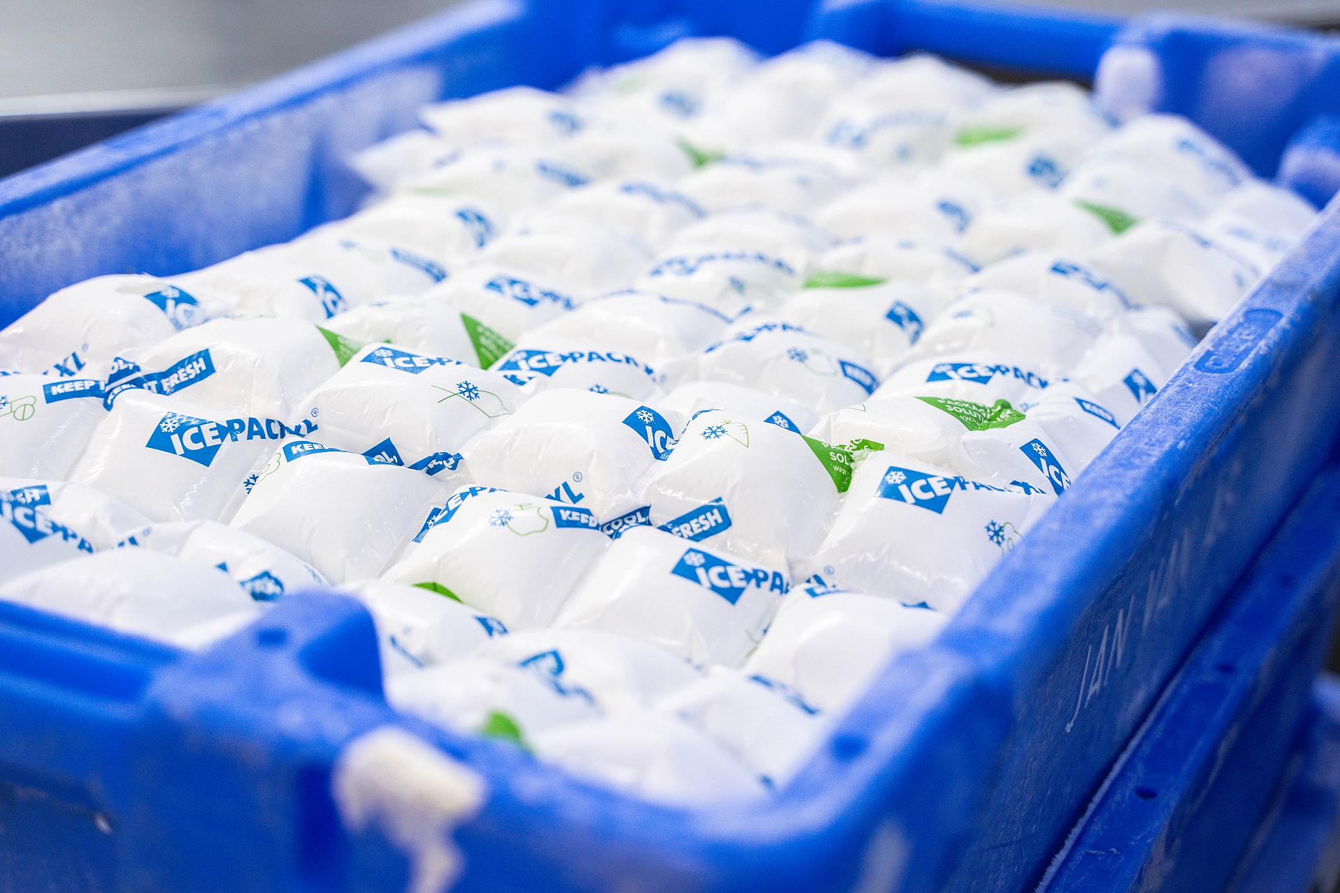 frozen ice packs for seafood