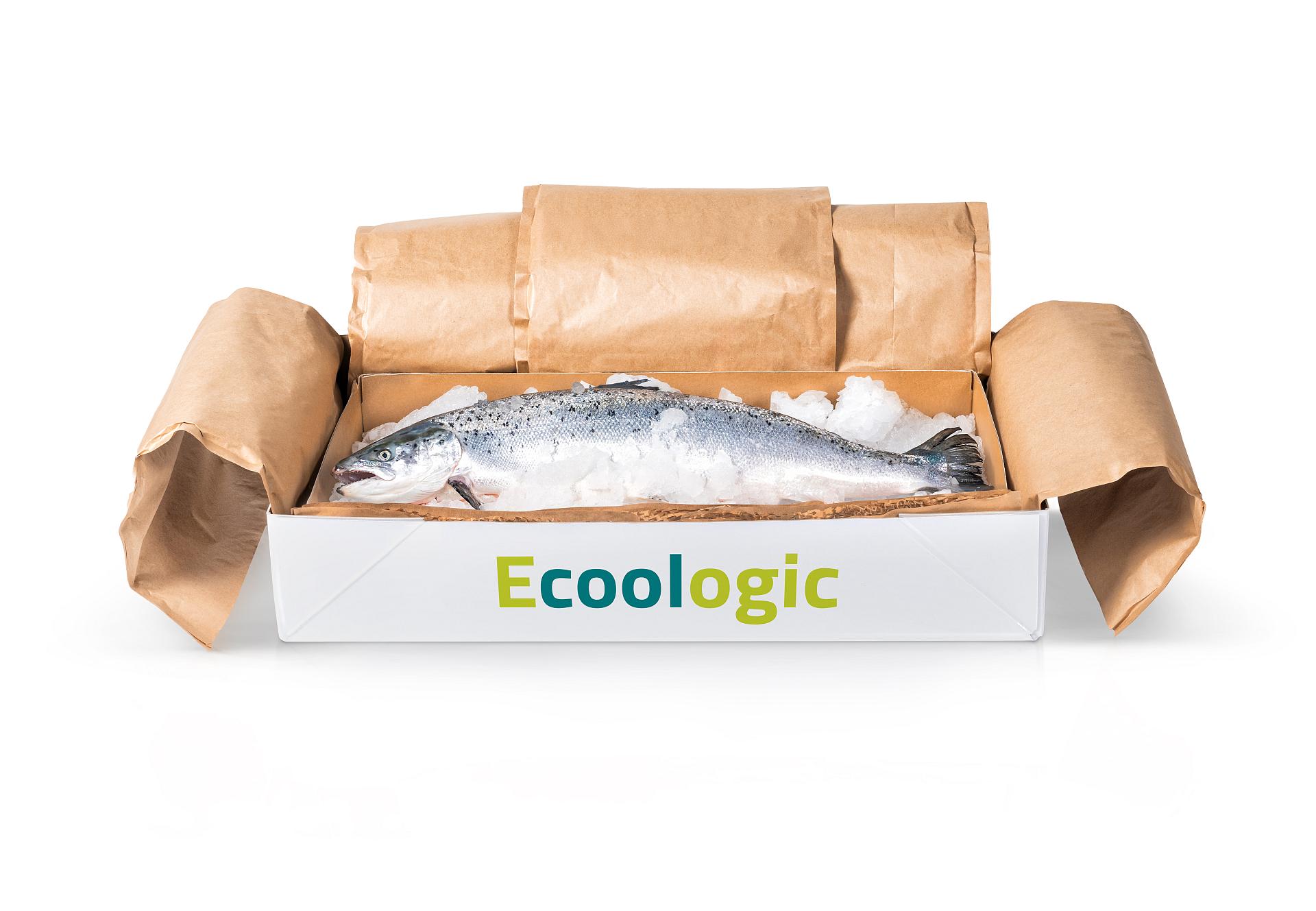 vpk smart ecoologic box vis