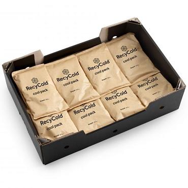 Recycold Eco Gelpack 400