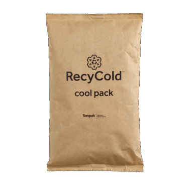 Recycold Eco Gelpack 100