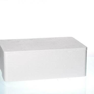EPS Box 17.5