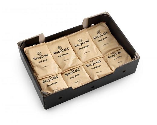Recycold Eco Gelpack 300