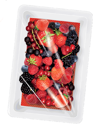 InterSorb Fruitpad 8x12cm Red