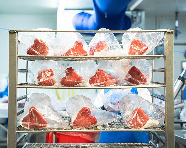 18 fresh tuna packed for airfreight