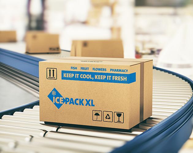 22 gekoelde webshop verpakking