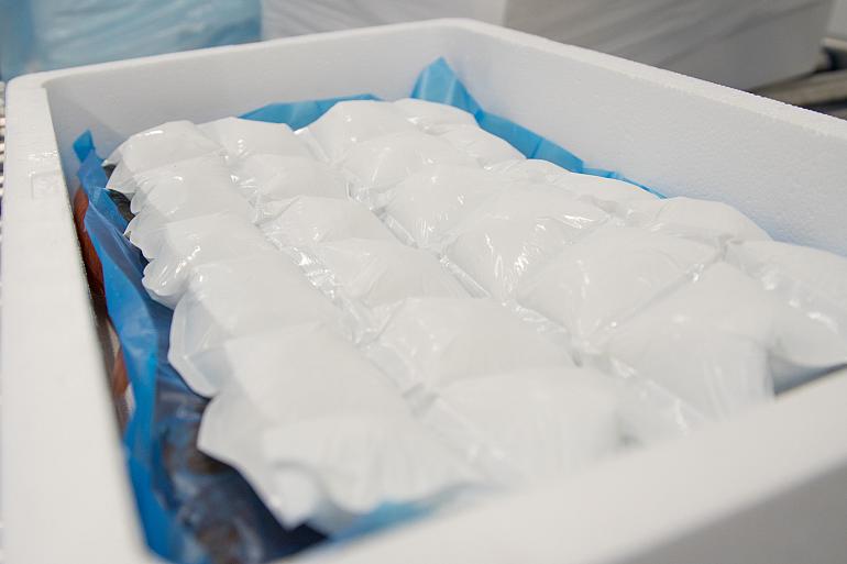 Packaging solution for transporting fresh seafood