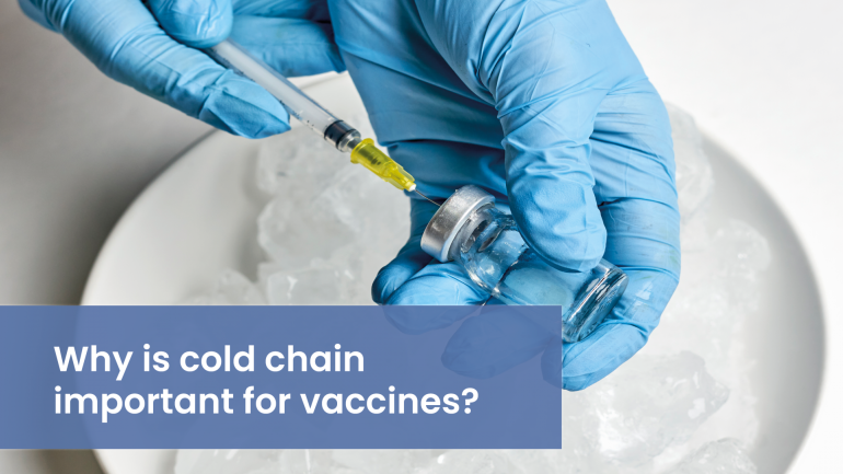 Why is the cold chain important for vaccines?