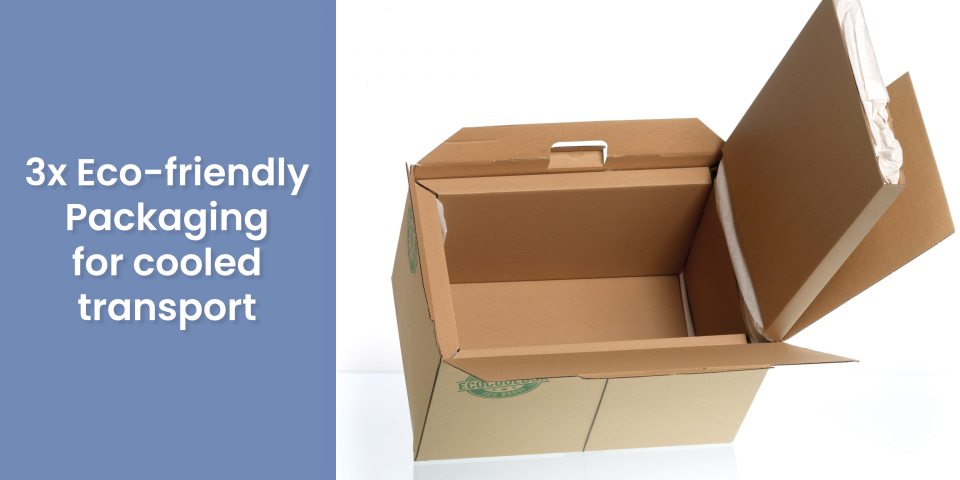 17 81 3x eco friendly packaging for cooled transport green packaging