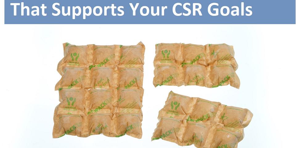 356 ice pack eco blog