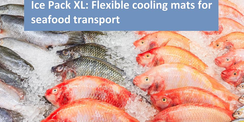 364 flexible ice packs for fish