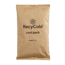 Recycold Eco Gelpack 100