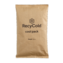 Recycold Eco Gelpack 300